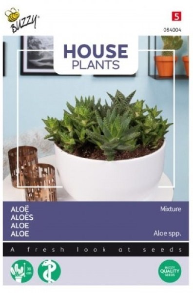 084004 aloe vera_500x500